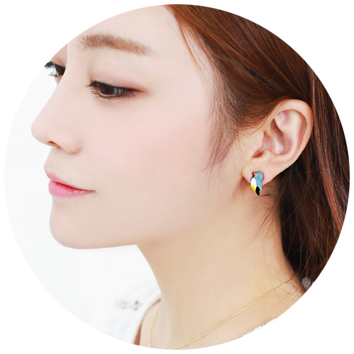 ��ǰ�̹���