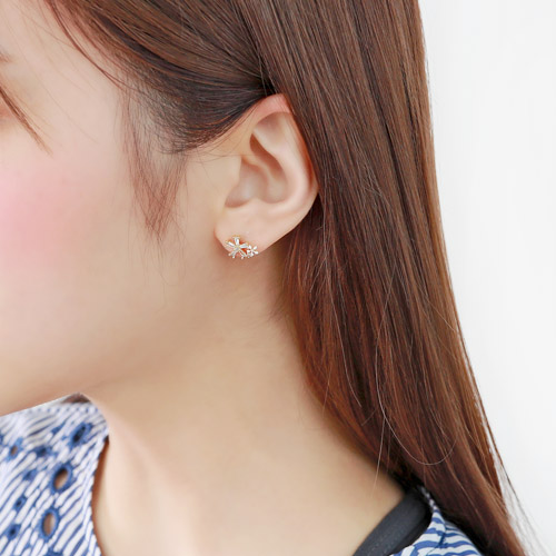 ��ǰ�̹���